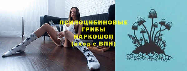 прущий лед Алзамай