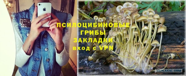 прущий лед Алзамай